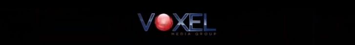 Voxel Media Group